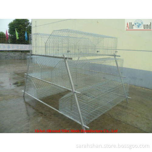 Baby Chick Rearing Cage